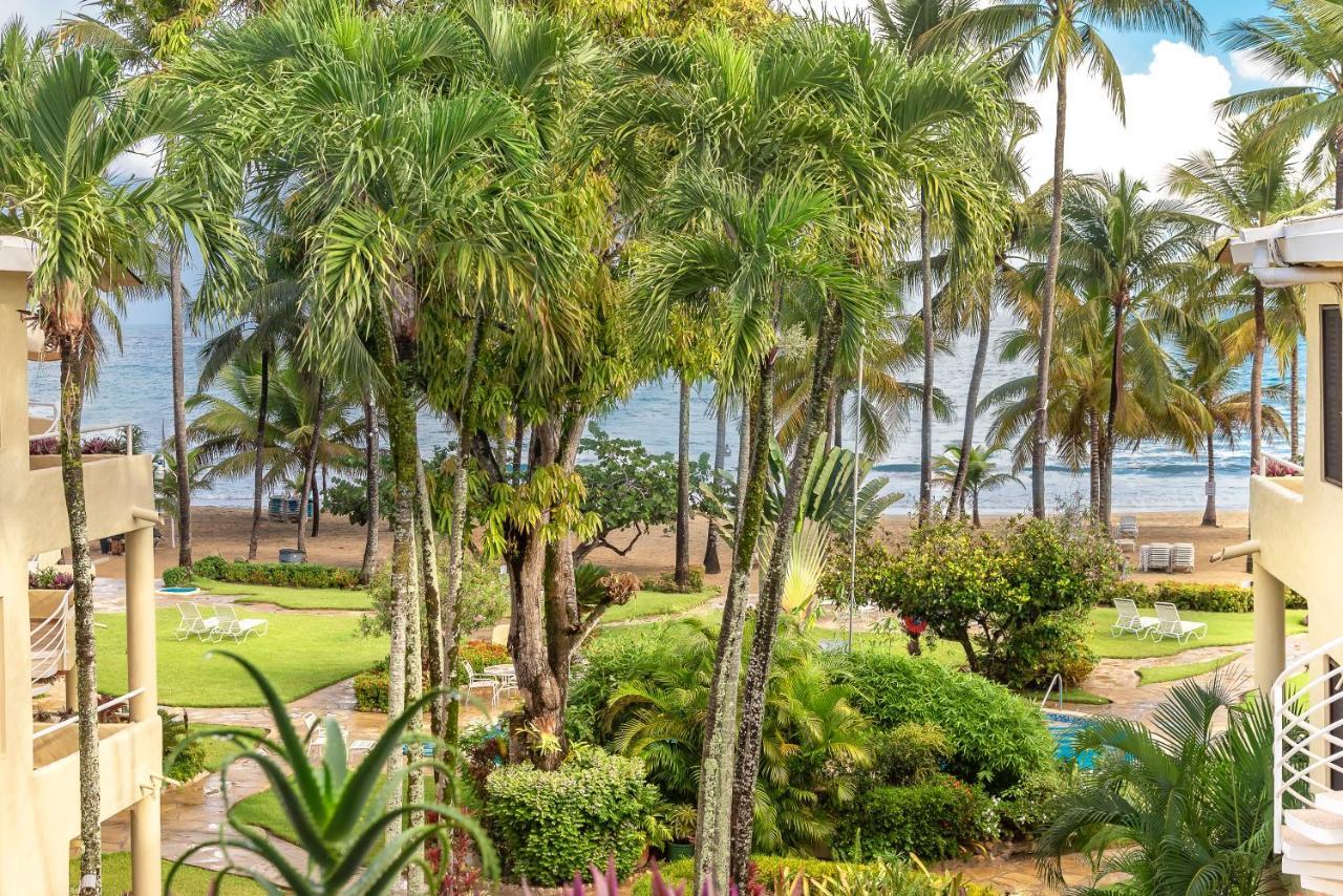 Cabarete Palm Beach Condos Екстериор снимка
