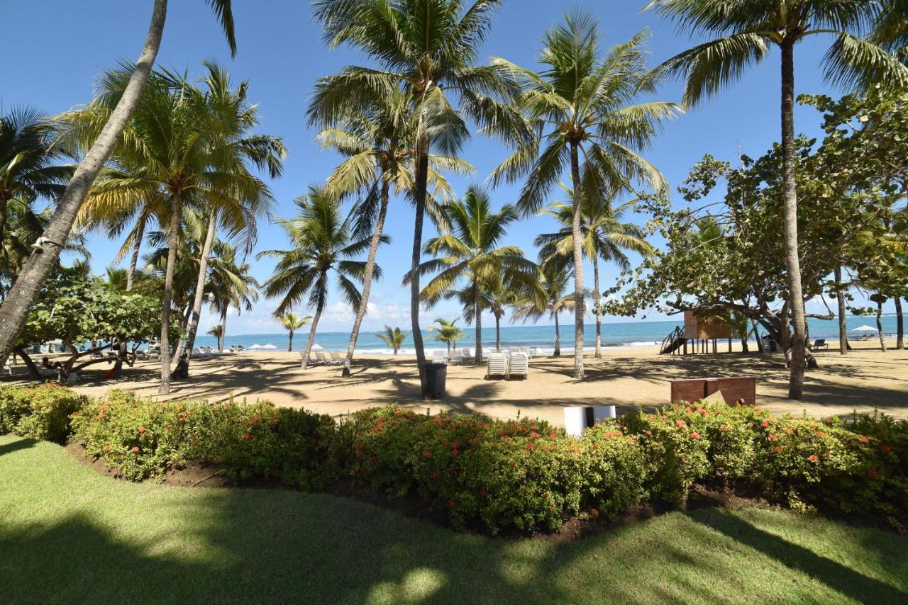 Cabarete Palm Beach Condos Екстериор снимка